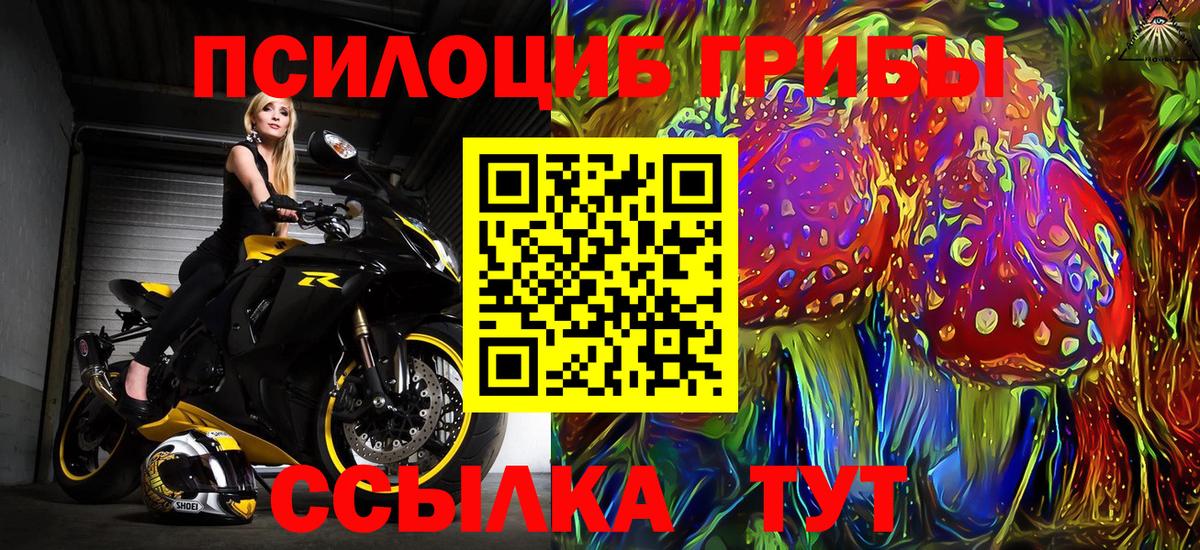 Псилоцибиновые грибы Psilocybine cubensis Пыть-Ях